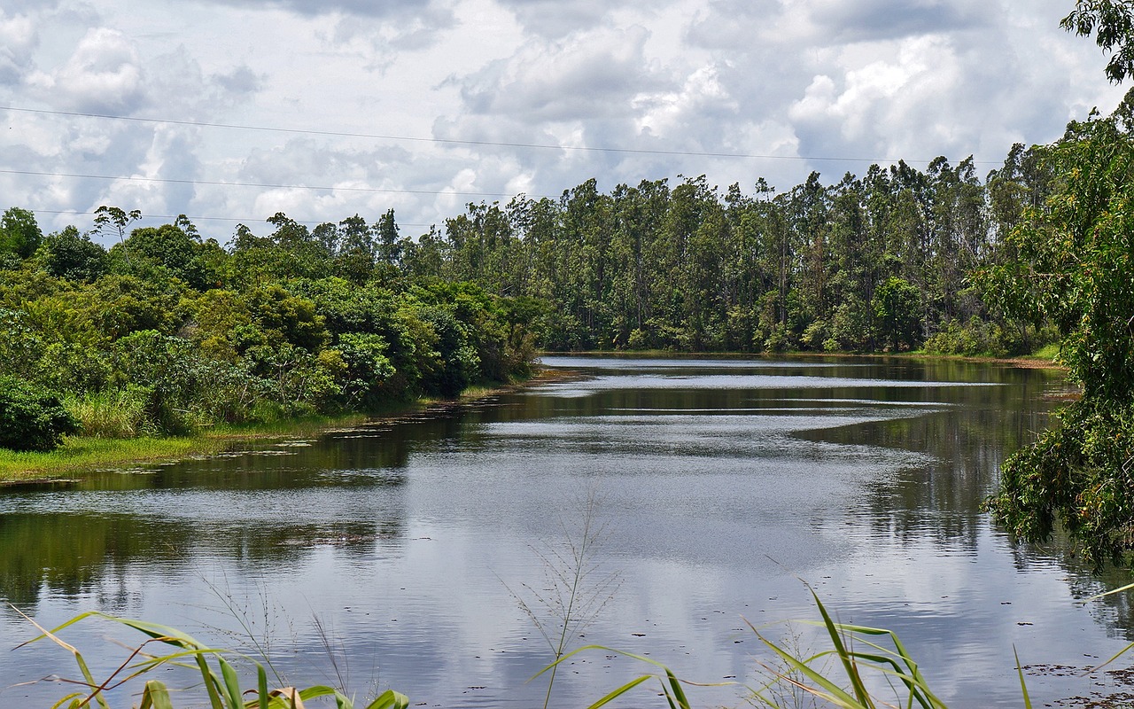 landscape lake nature free photo