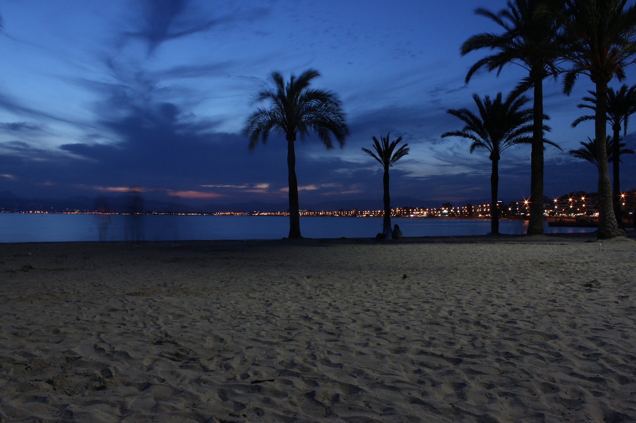 landscape beach night free photo