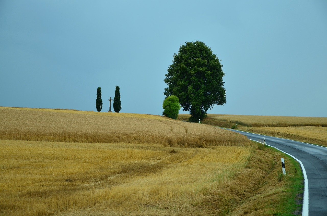 landscape cereal fields road free photo