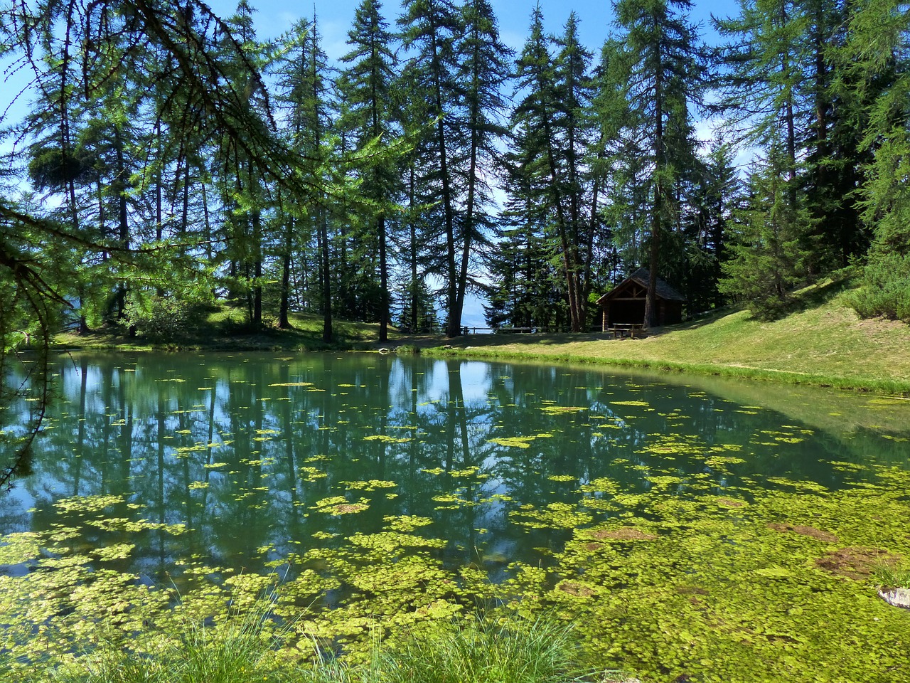 landscape nature lake free photo