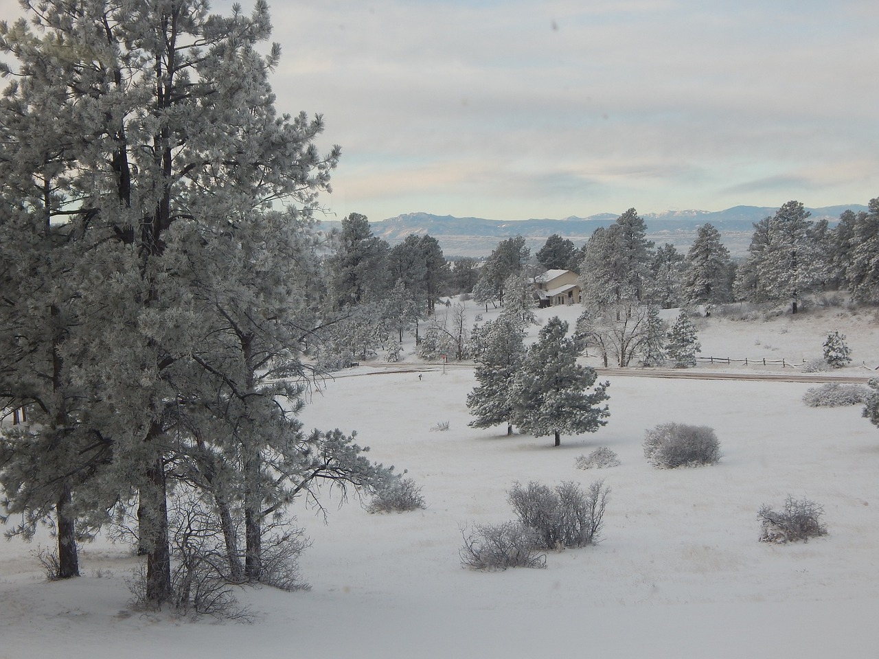 landscape winter snow free photo