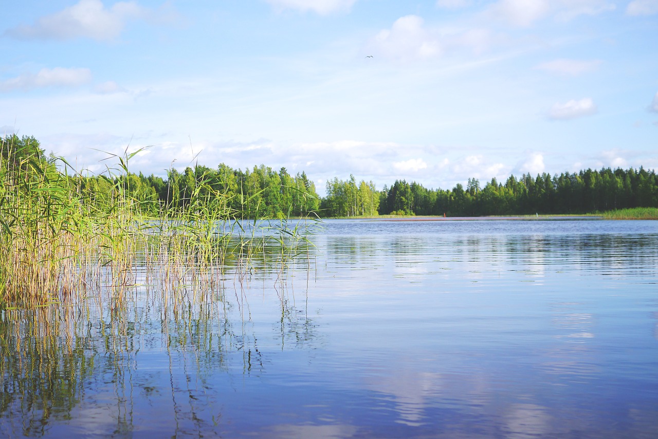 landscape lake nature free photo