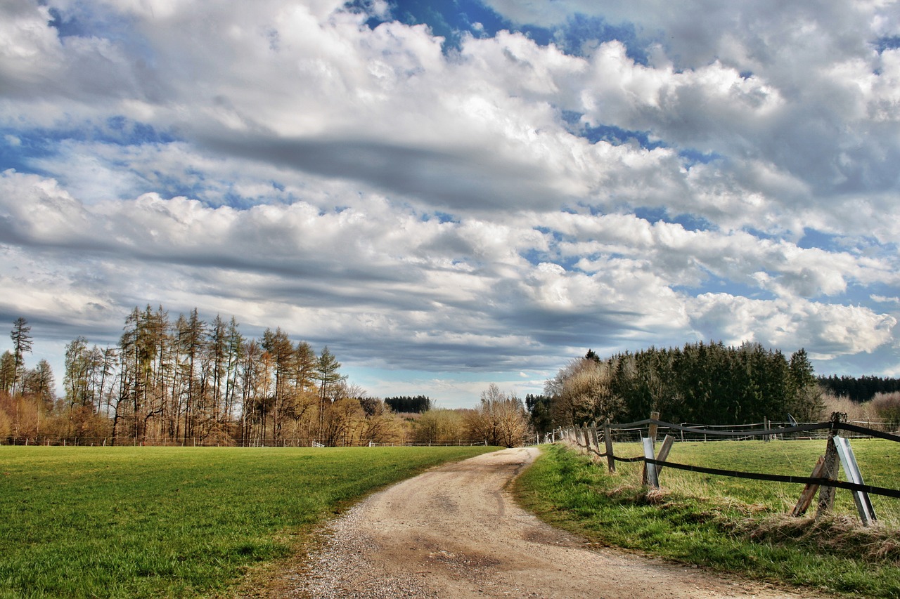 landscape forest away free photo