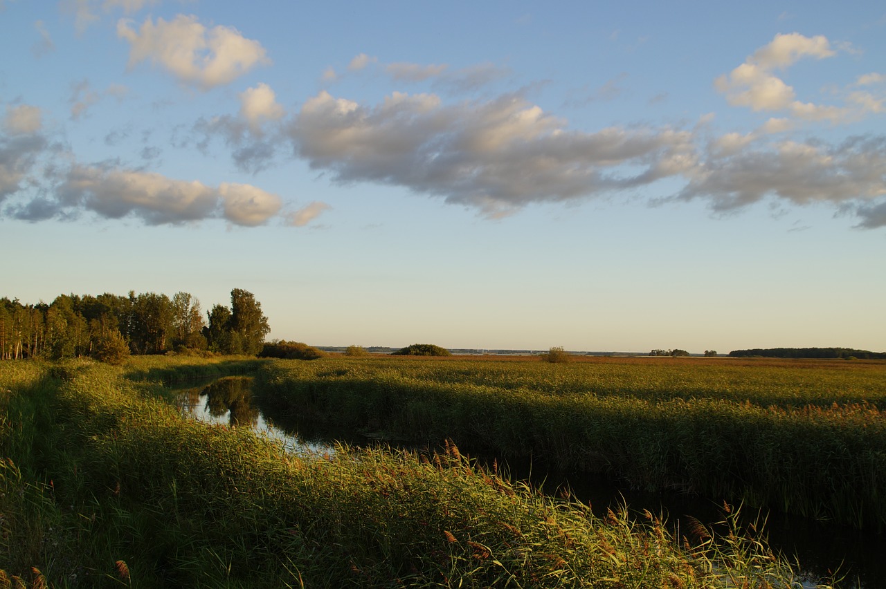 landscape takern sweden free photo