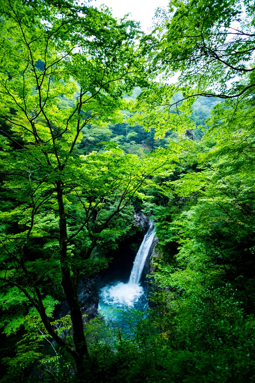 landscape waterfall water free photo