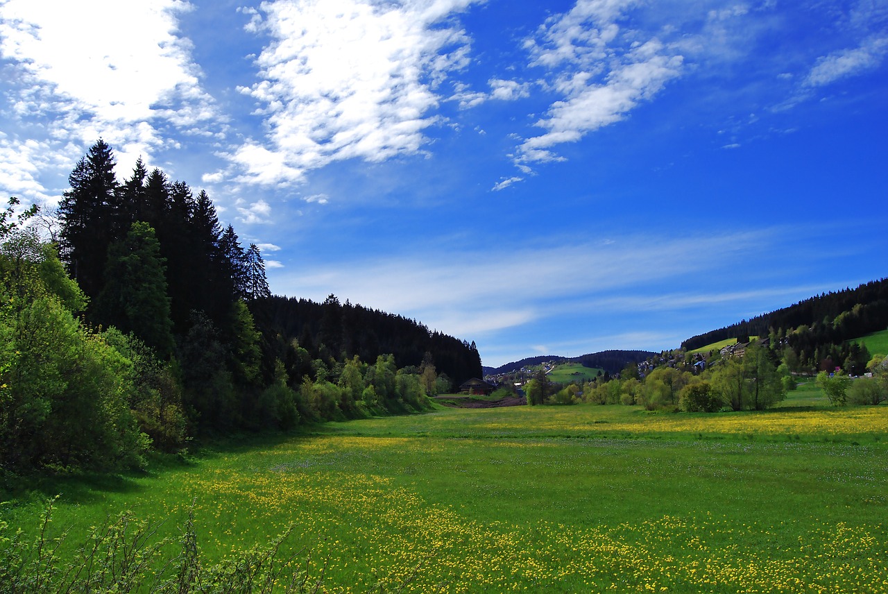 landscape meadow summer free photo