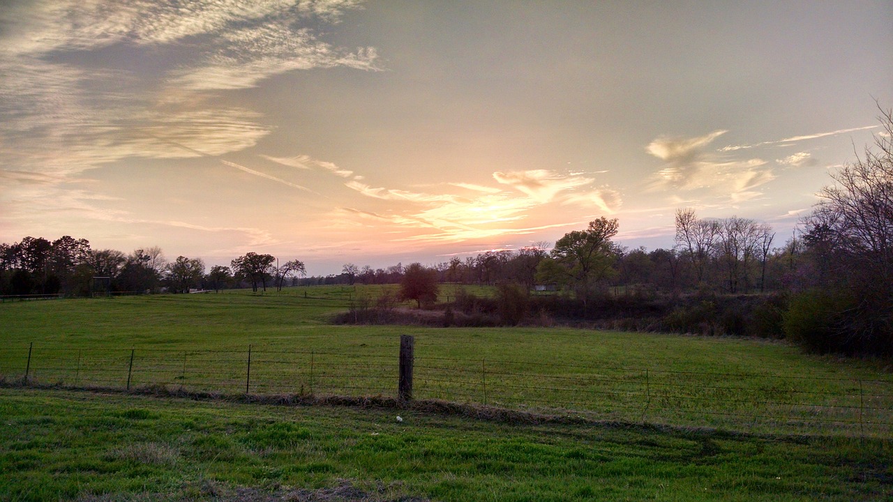 landscape sunset fence free photo