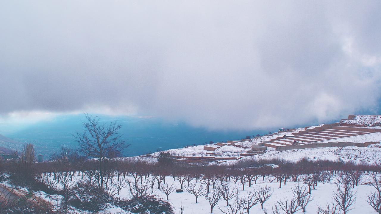 landscape winter snow free photo