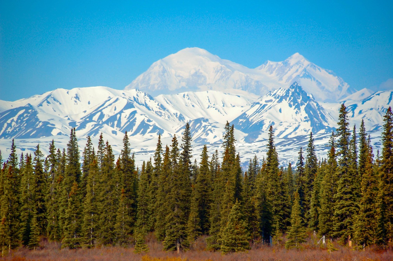 landscape mountains snow free photo