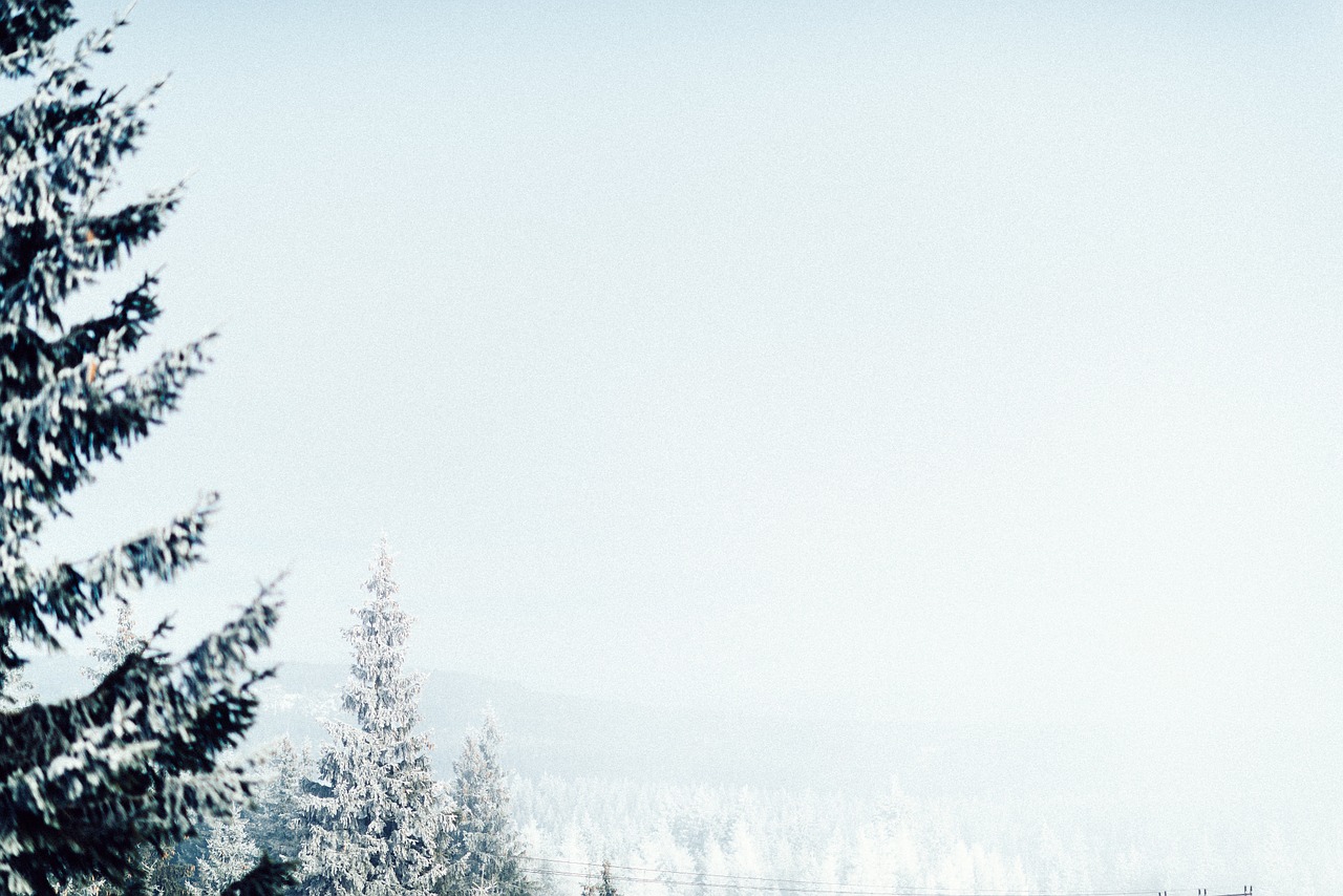 landscape trees sky free photo