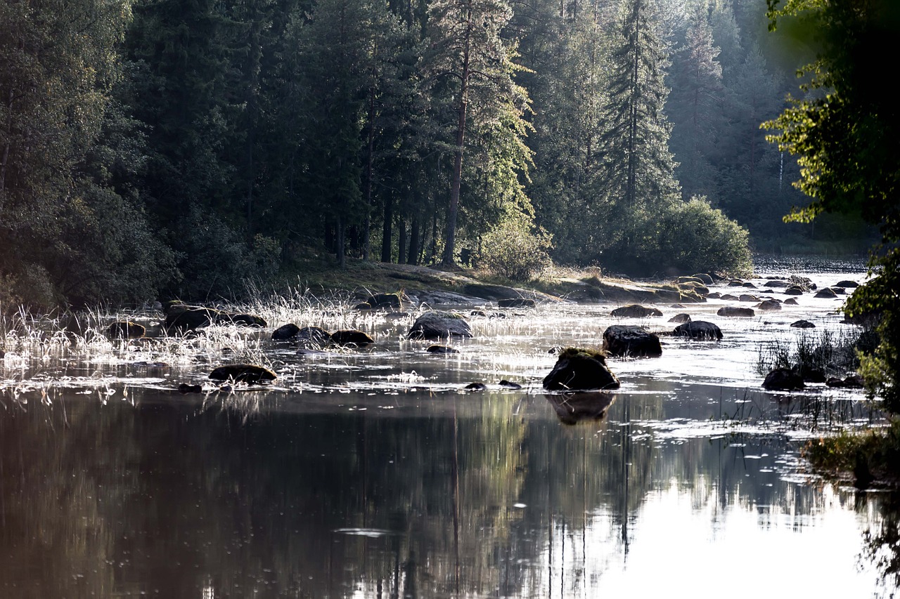 landscape river morning free photo