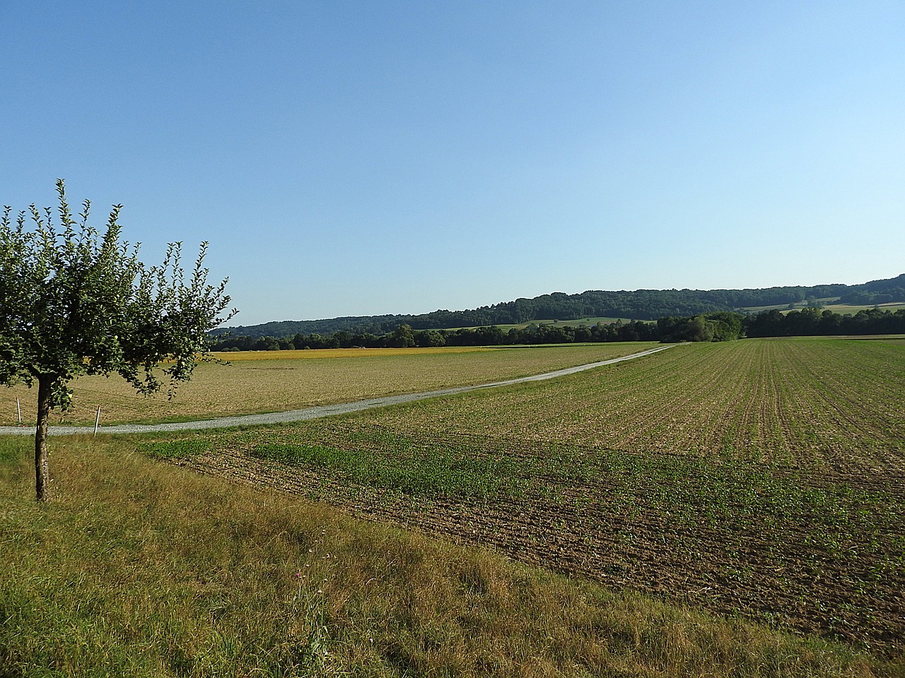 landscape fields arable free photo