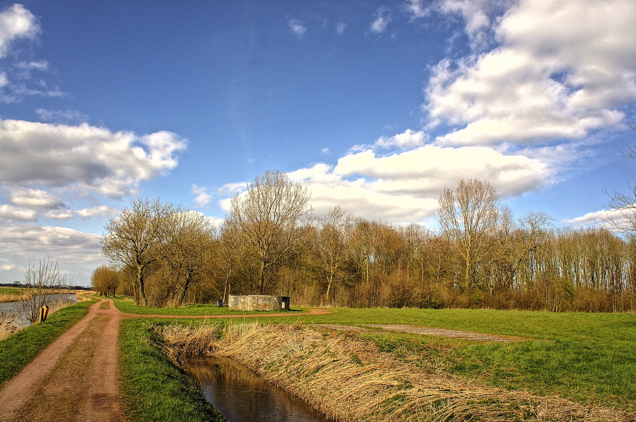 landscape blue skies free photo