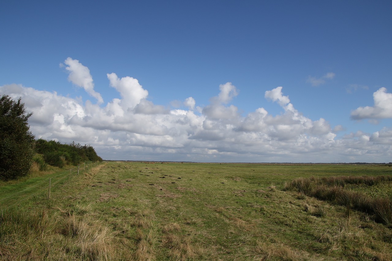 landscape clouds blue free photo