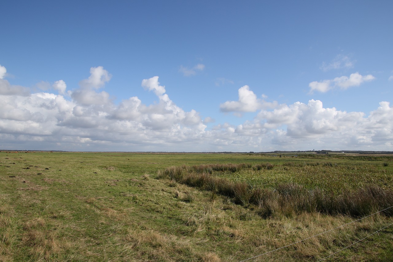 landscape clouds blue free photo