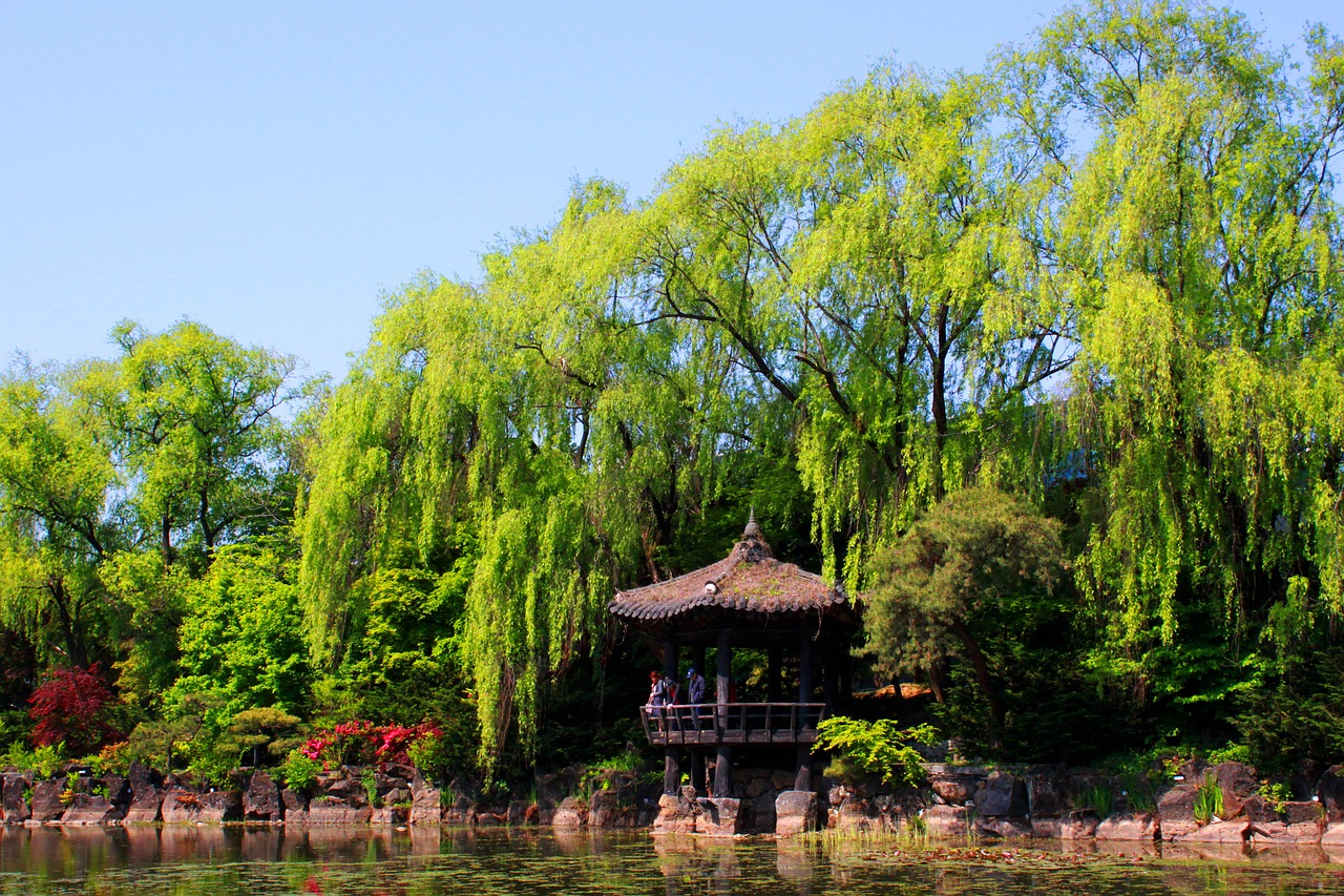 landscape nature lake free photo