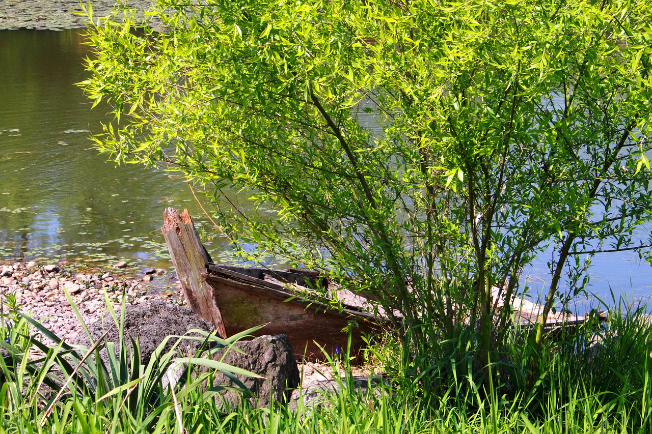 landscape nature ferry boat free photo