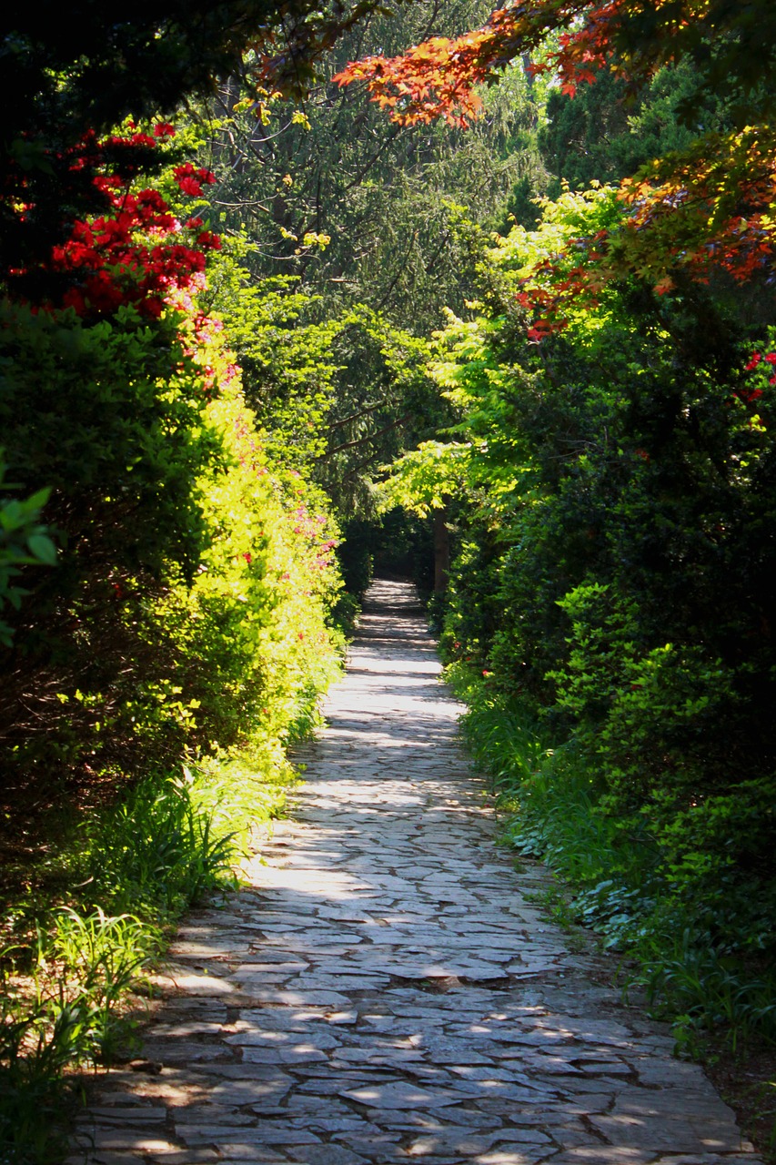 landscape nature a flower garden free photo