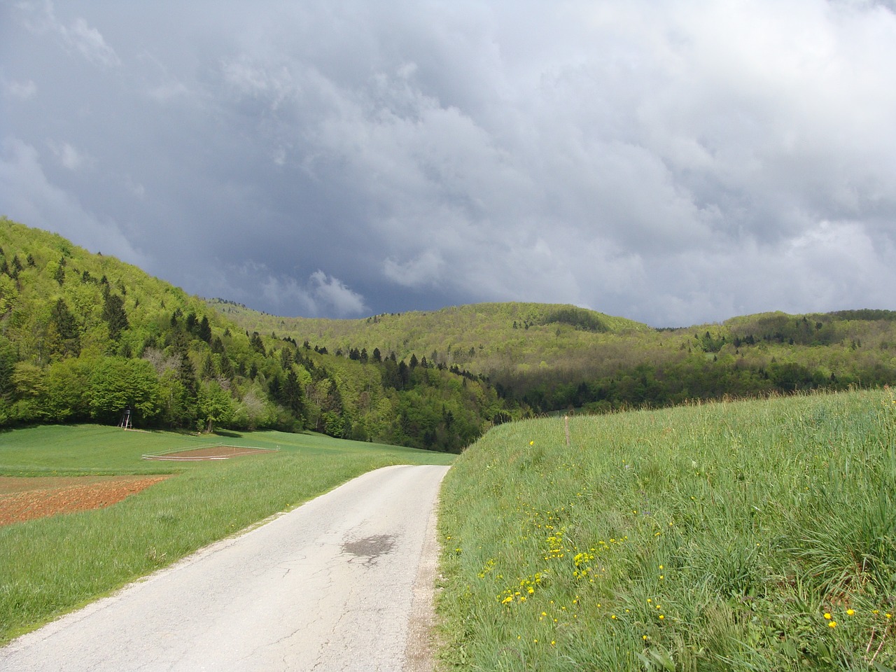 landscape road nature free photo