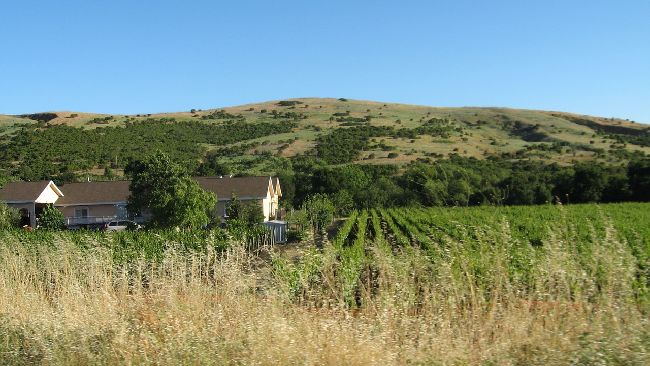 landscape vineyards napa free photo