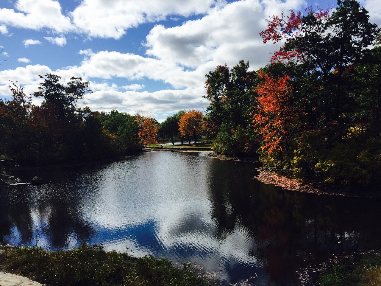 landscape fall autumn free photo