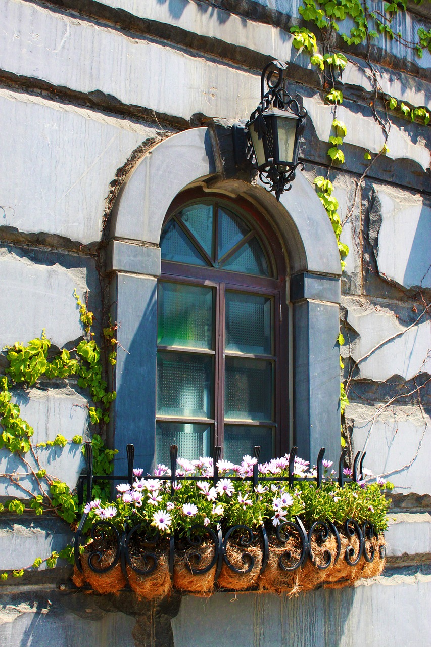 landscape window flower gardens free photo