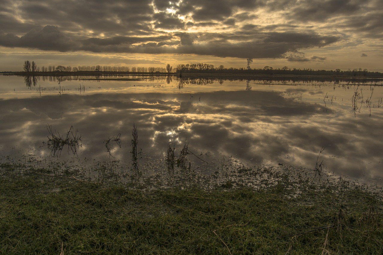 landscape polder morning sun free photo