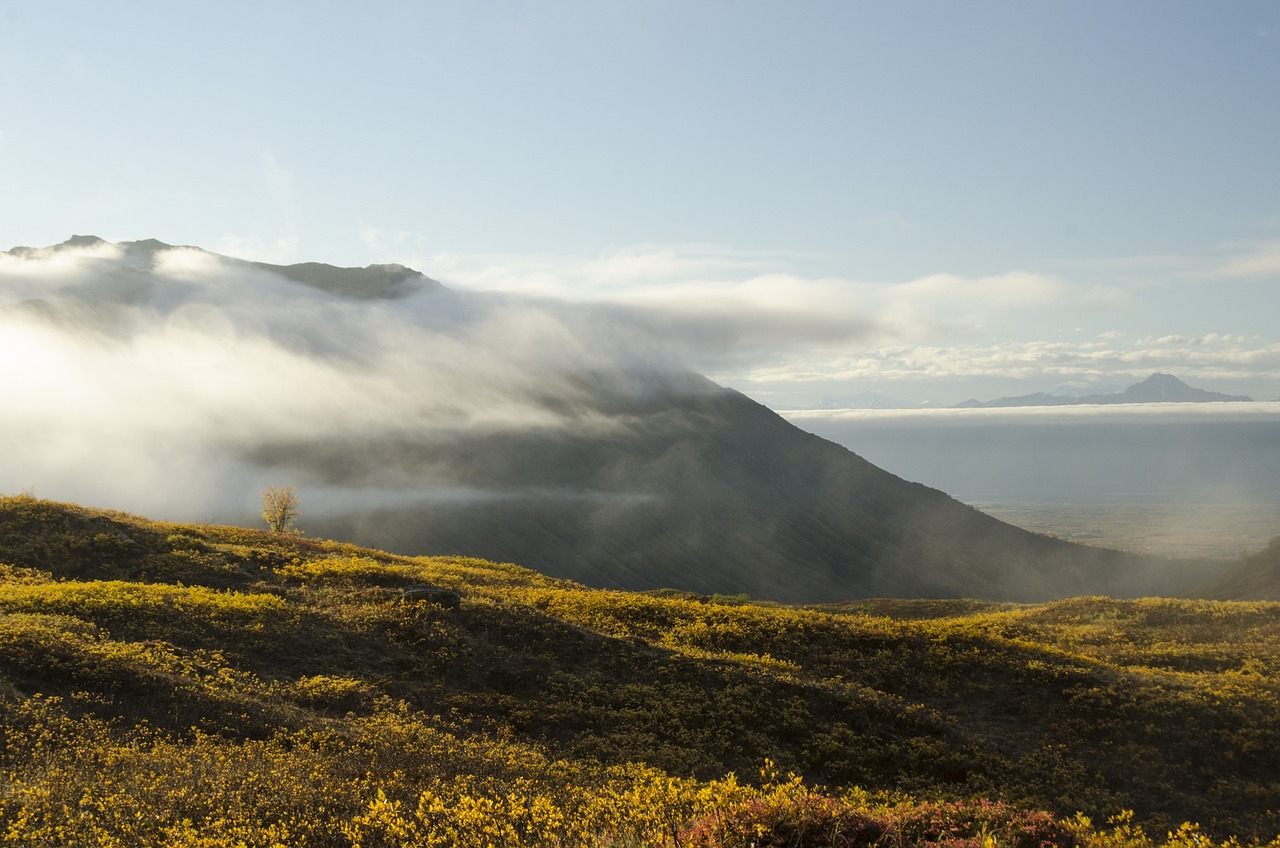 landscape fog nature free photo