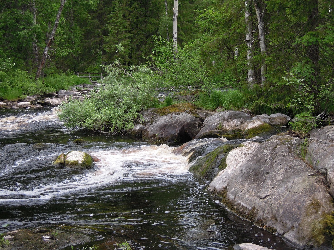 landscape nature finnish free photo