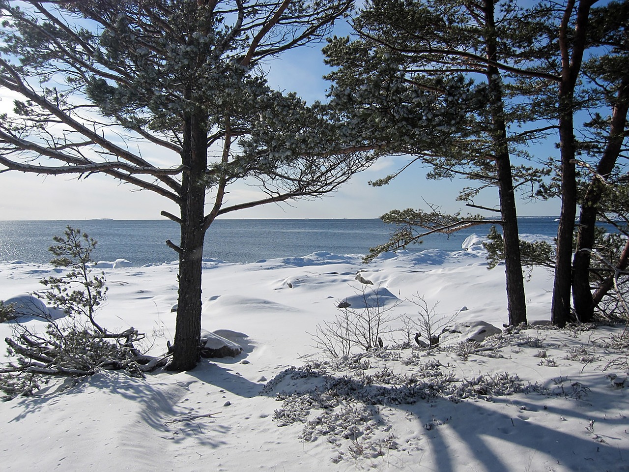 landscape winter finnish free photo