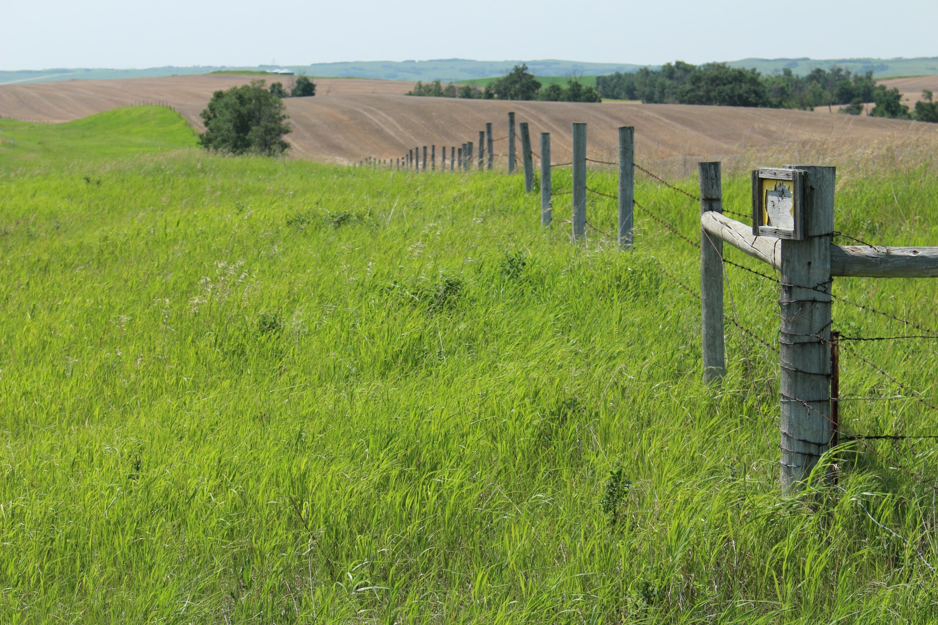 landscape field scenery free photo