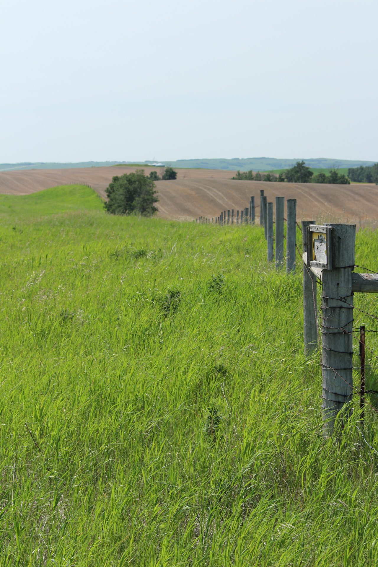 landscape field scenery free photo