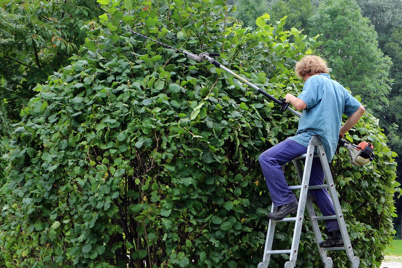 landscape gardener gardener workers free photo