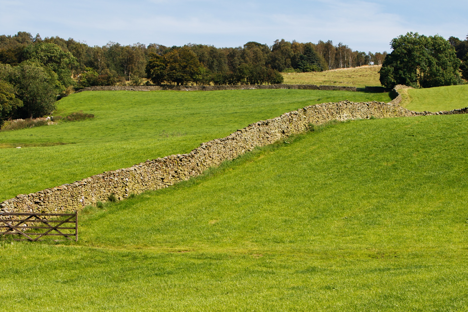 landscape summer green free photo