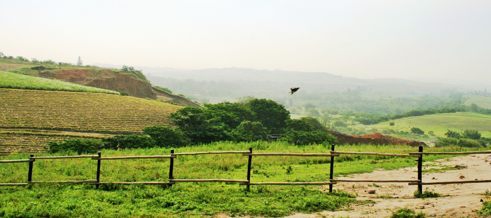 hills green landscape free photo