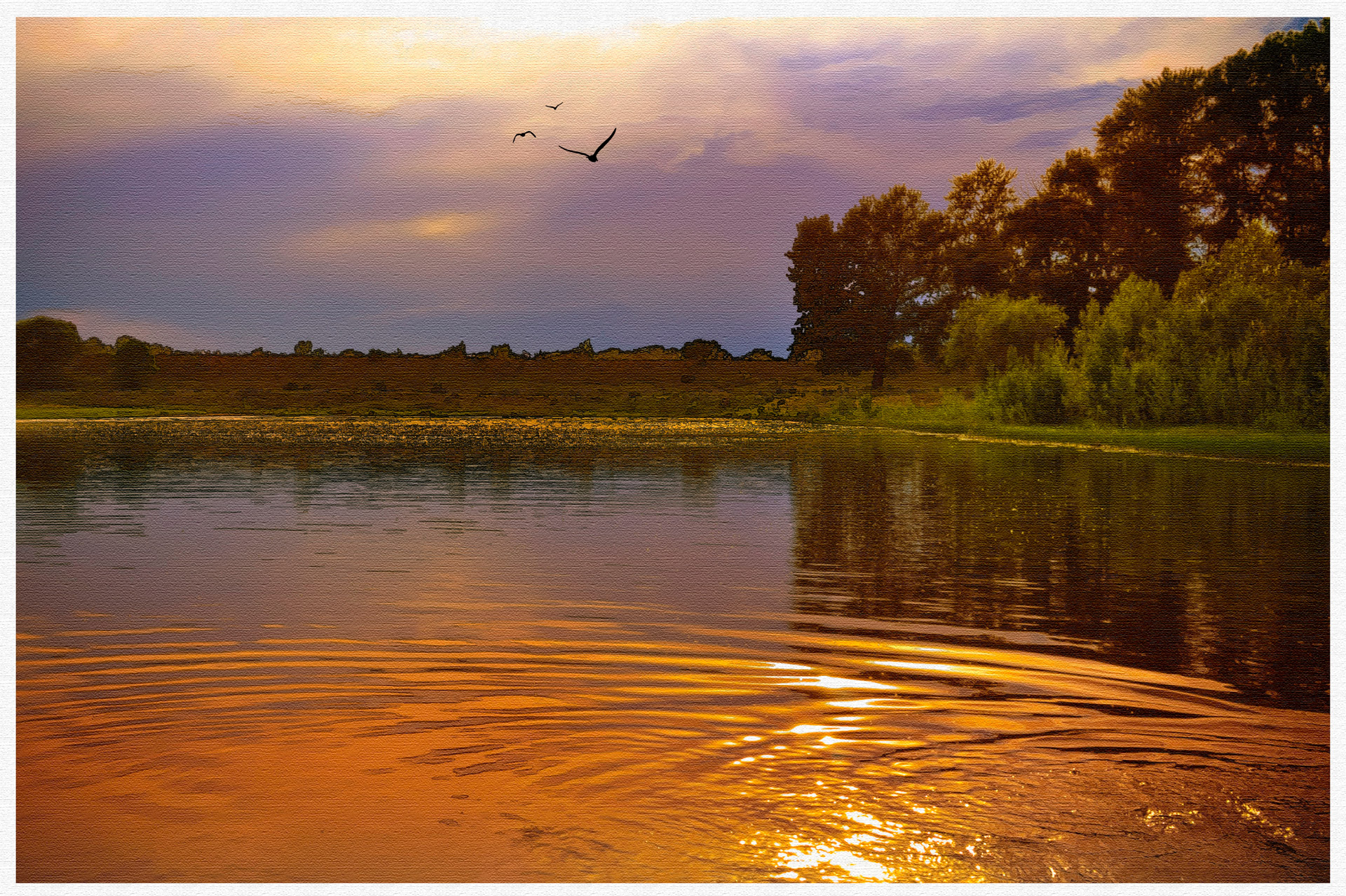 landscape water river free photo