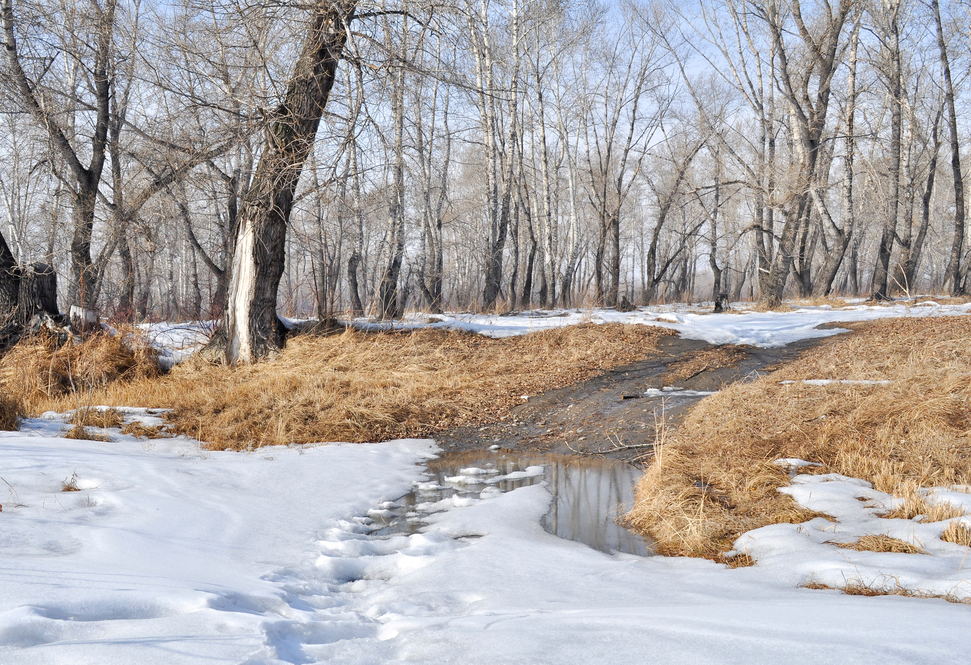 snow spring landscape free photo