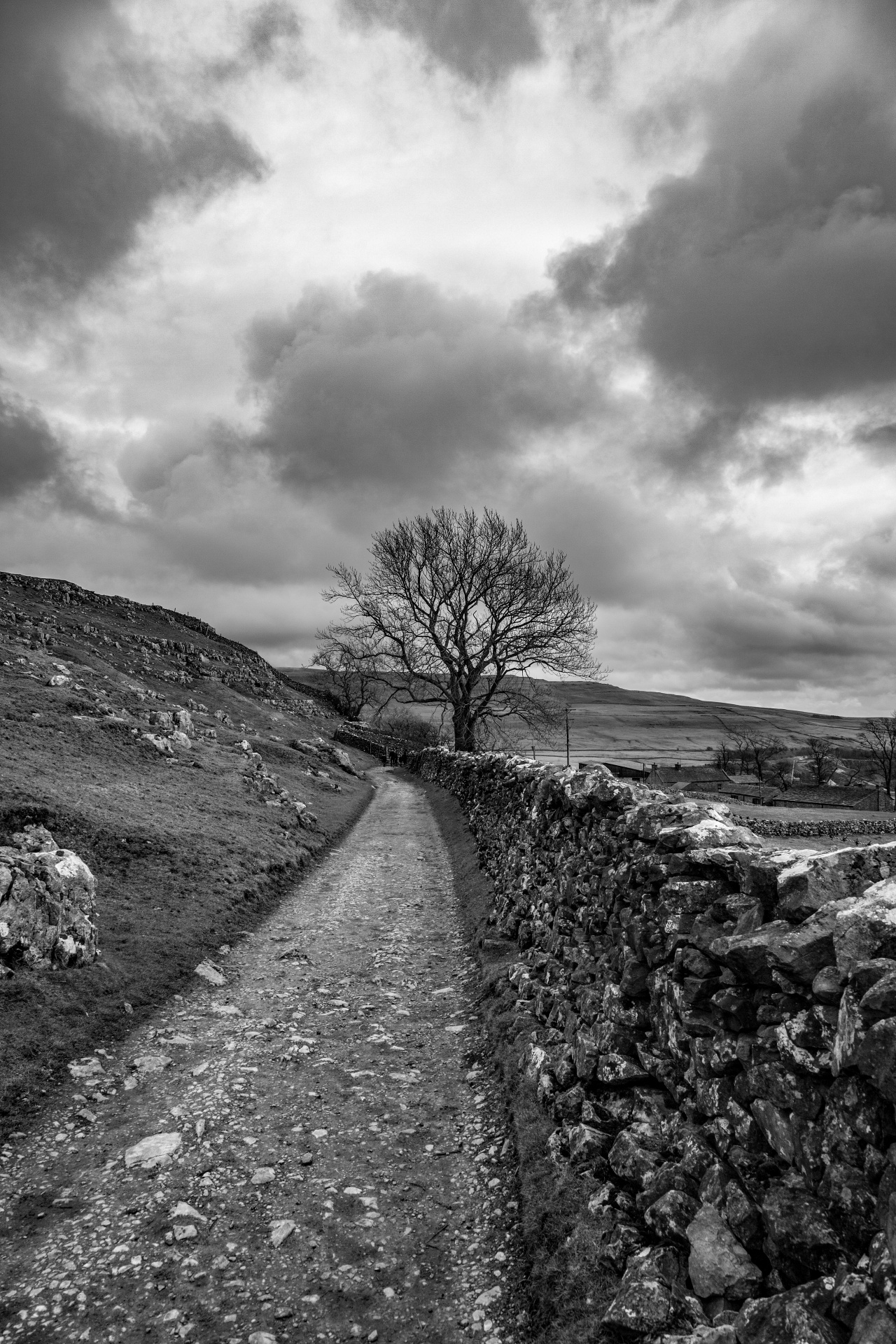 landscape nature tree free photo