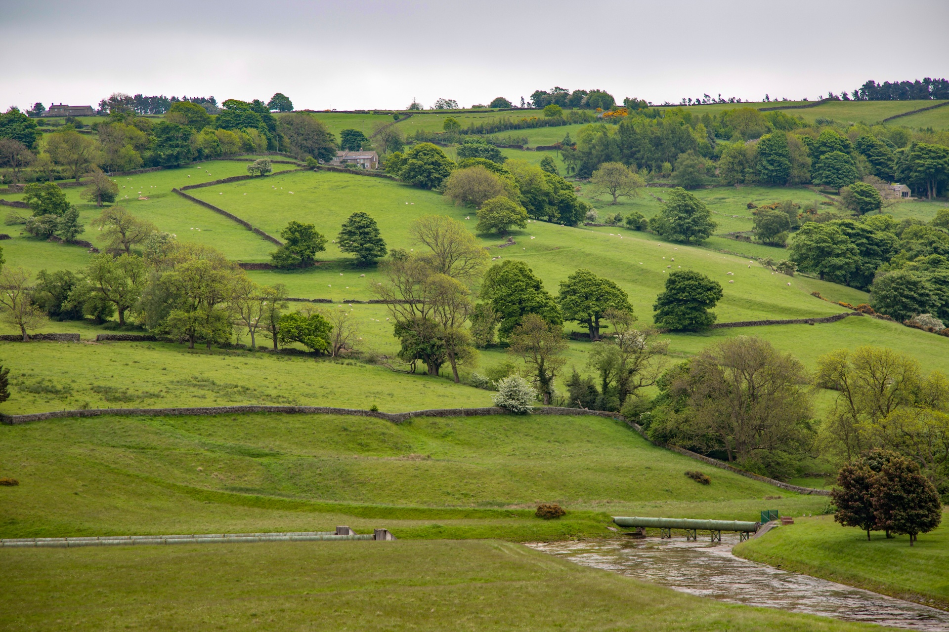 landscape nature tree free photo