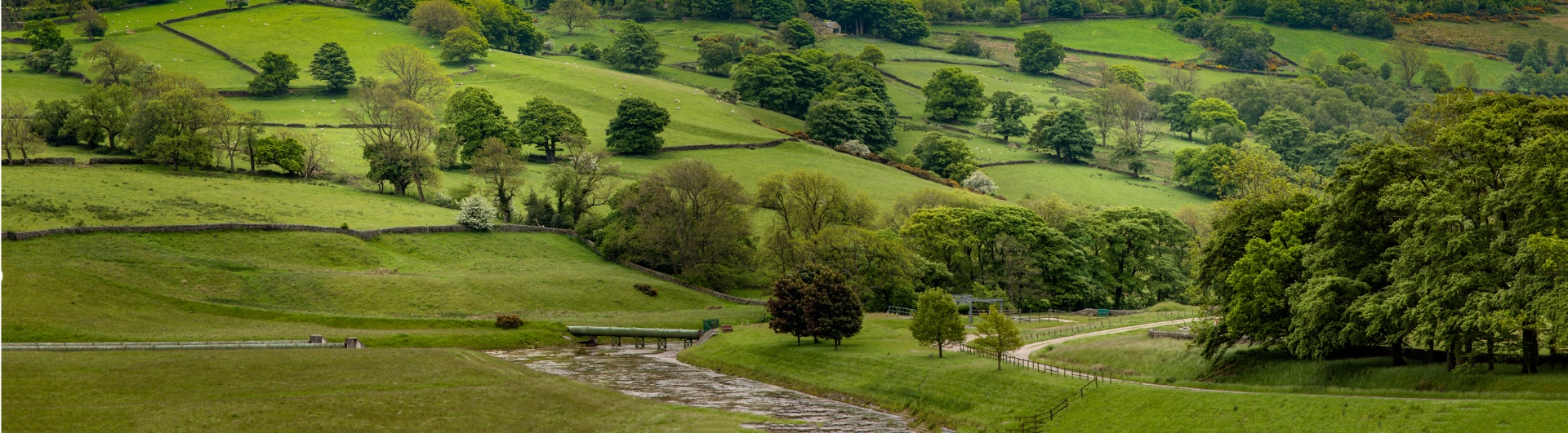 landscape nature tree free photo