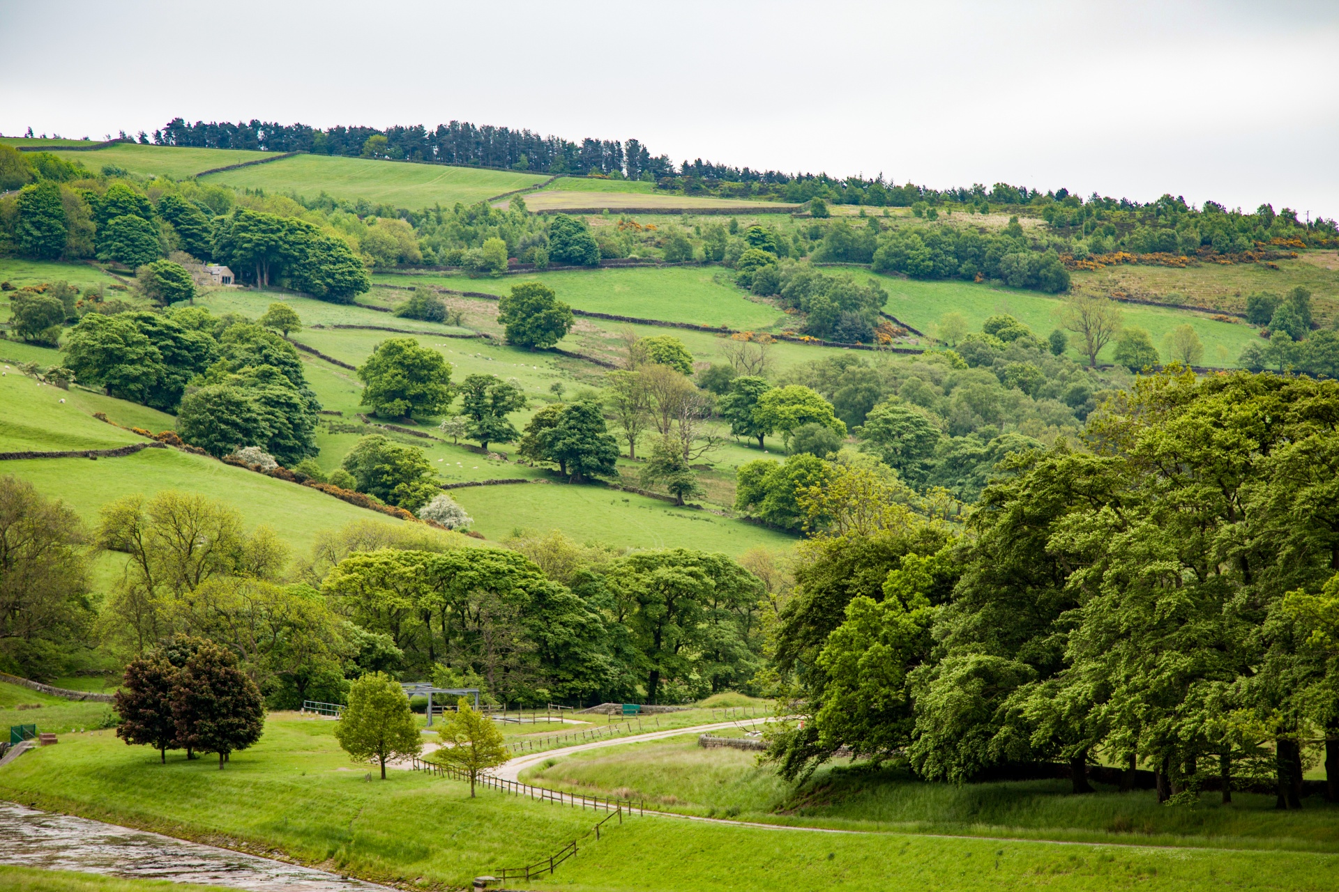 landscape nature tree free photo