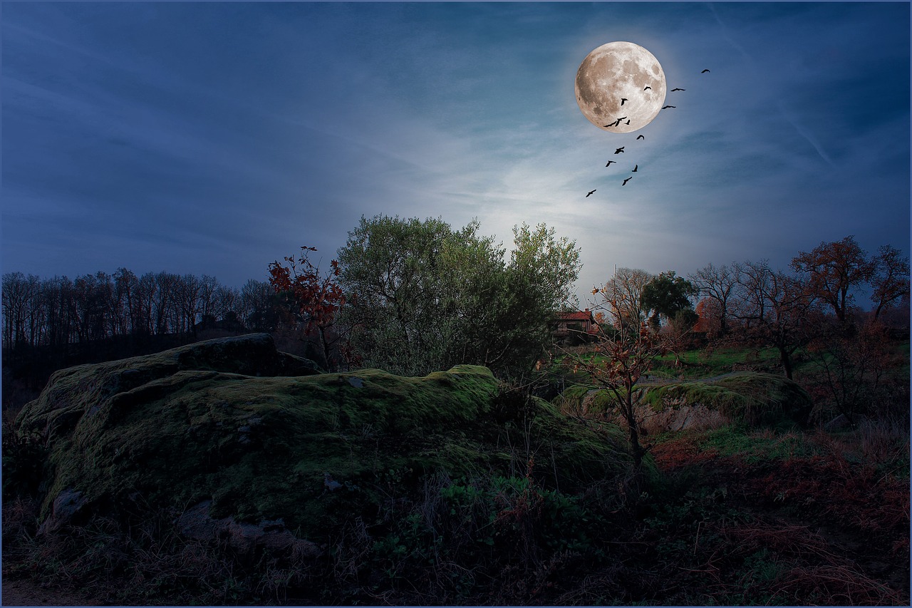 landscapes moon night free photo