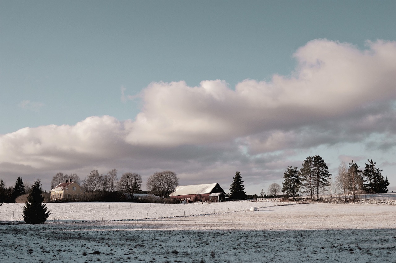 landscapes winter house free photo