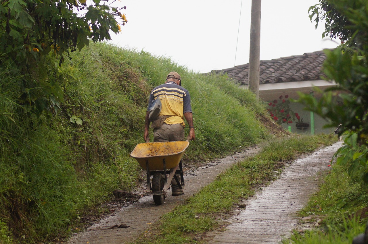 landscapes quindio fauna free photo