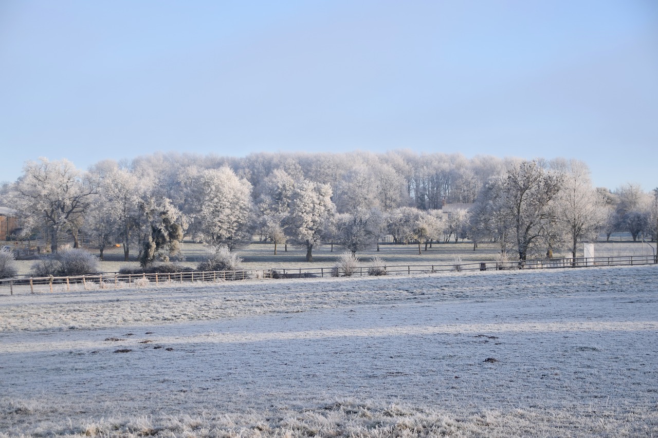 landscapes winter normandy free photo