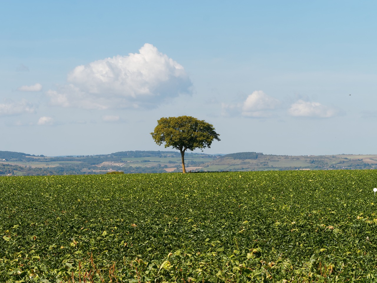 landscapes auvergne nature free photo