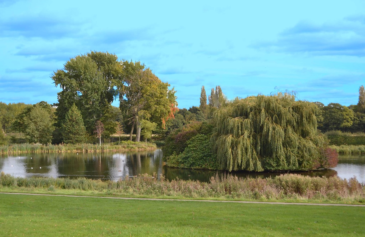 landscapes  country parks  cusworth free photo