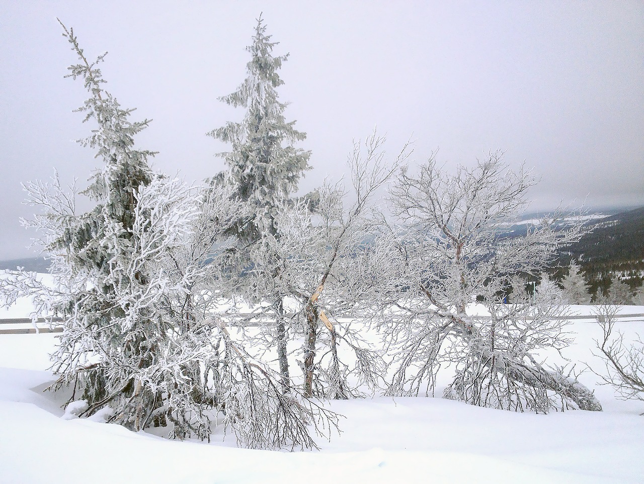 landscapes idre mountain free photo