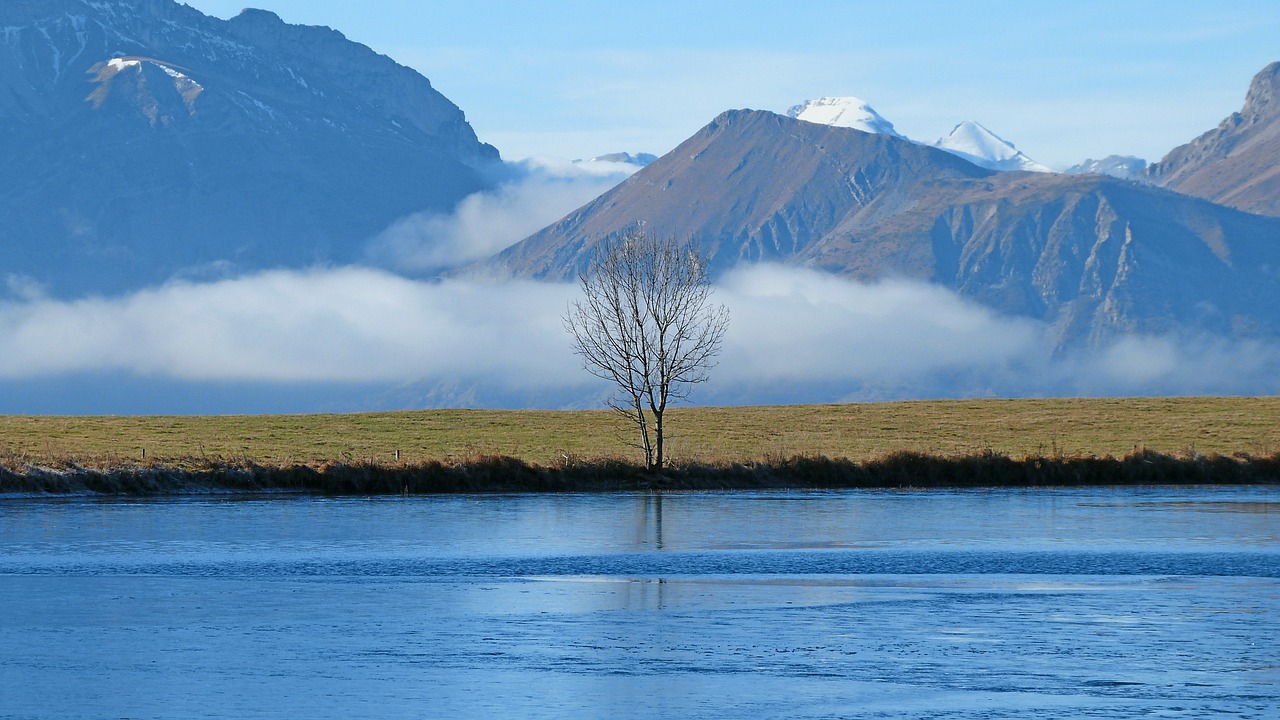 landscapes nature water free photo