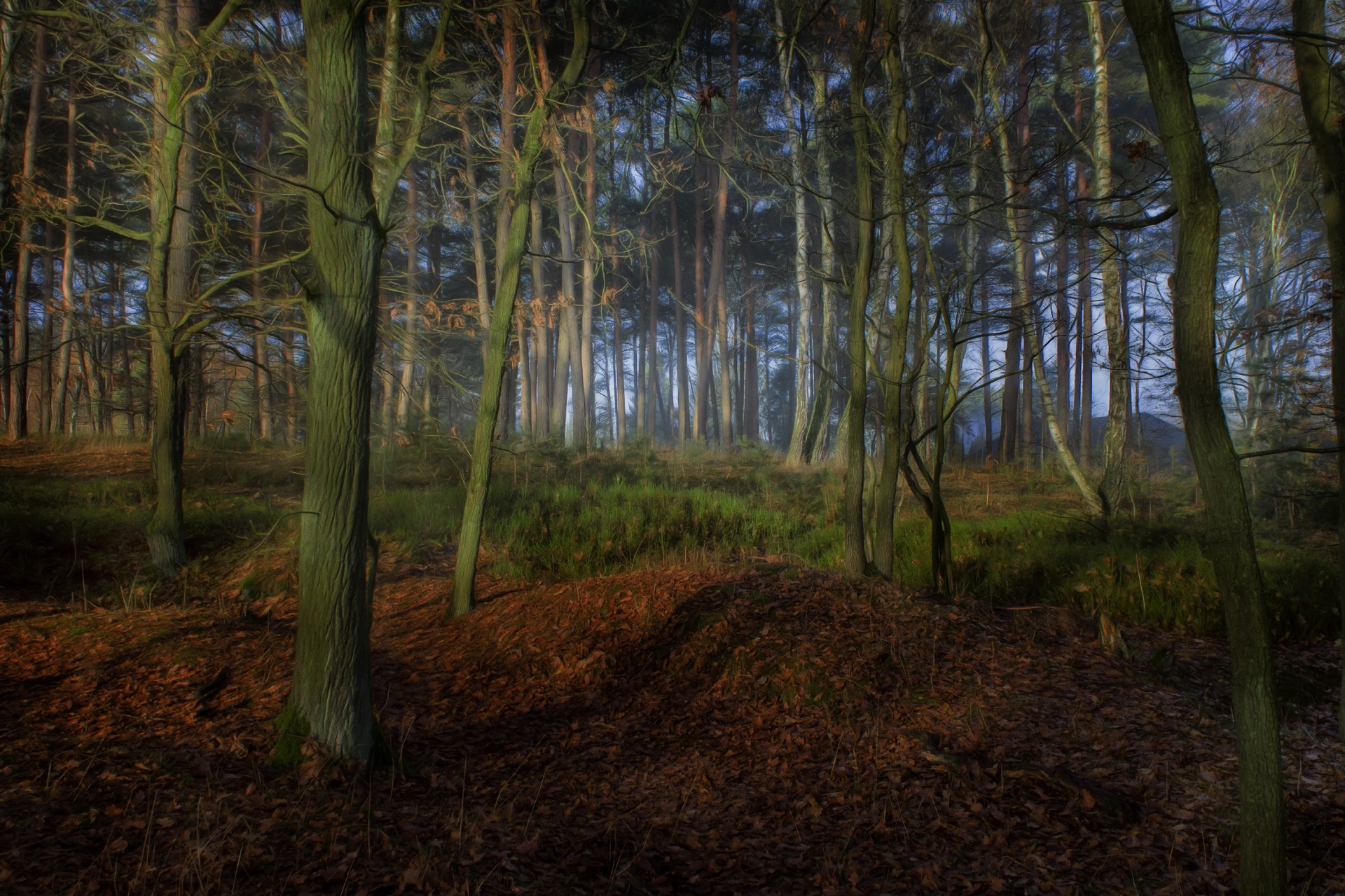 landscape nature tree free photo